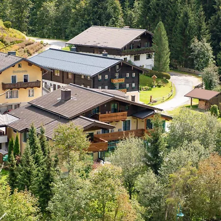 Haus Diana Apartment