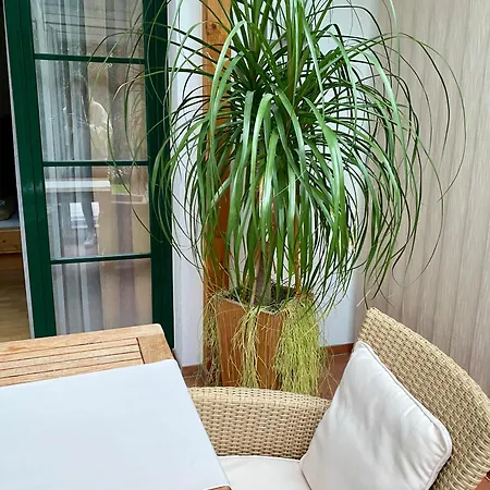 Haus Diana Apartamento Wagrain