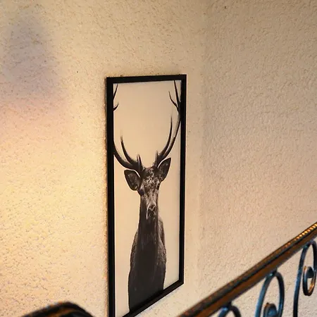 Appartement Haus Diana *