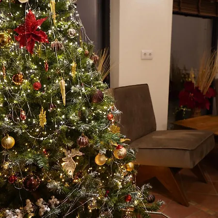 Appartement Haus Diana