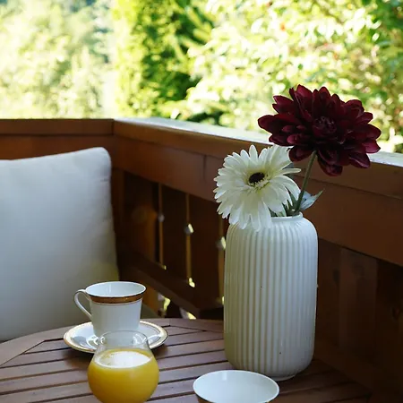 Appartement Haus Diana Wagrain