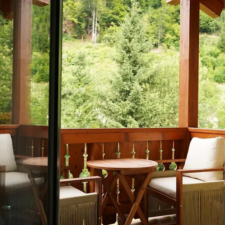 Haus Diana Appartement